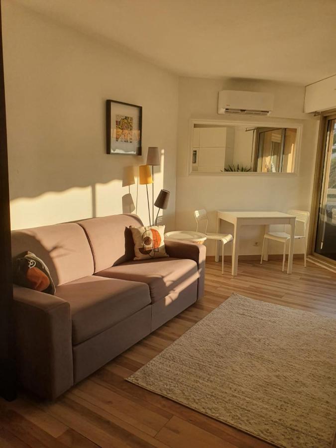 Bel Appartement A 50M De La Plage, 2 Pieces Climatisees, Parking Prive Αντίμπ Εξωτερικό φωτογραφία